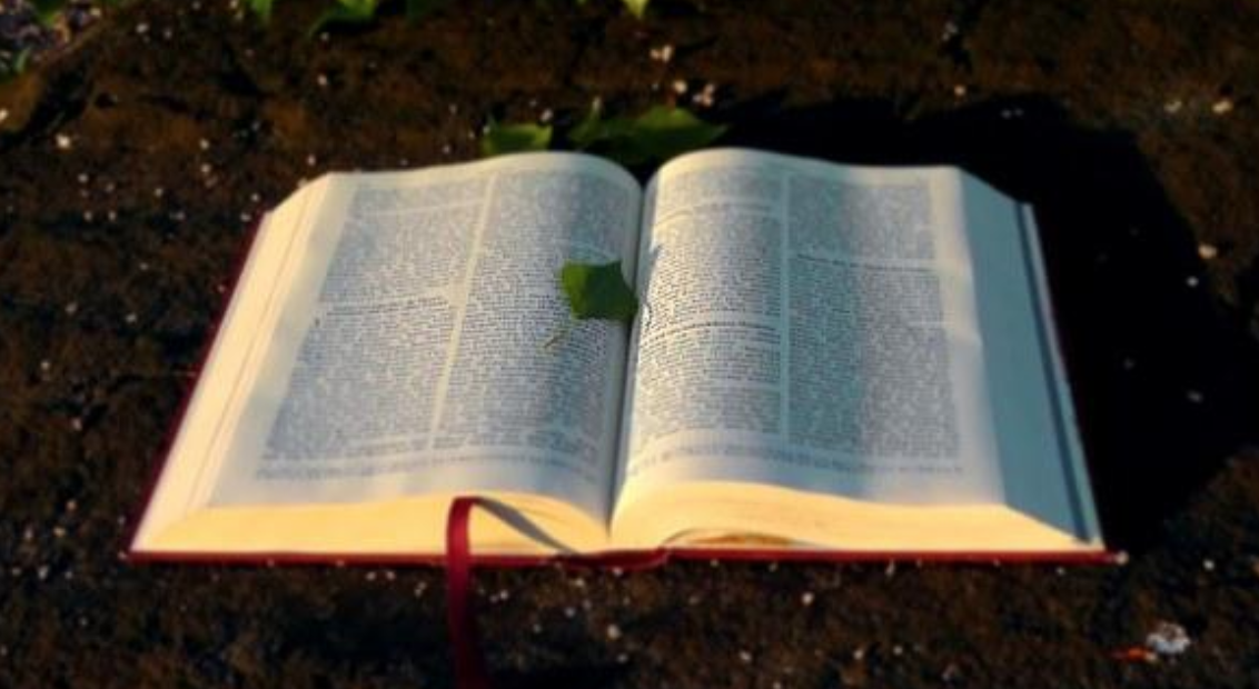 Sigamos las leyes de Dios