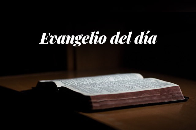 Evangelio del día: Lectura del santo evangelio según san Marcos (16,15-18):