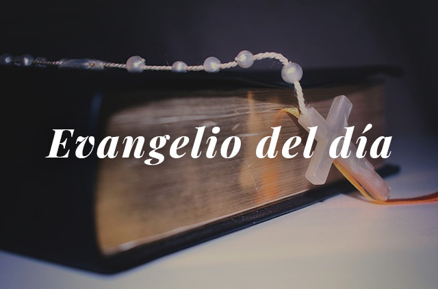 Evangelio Del Día: Lectura Del Santo Evangelio Según San Lucas 17, 26 ...