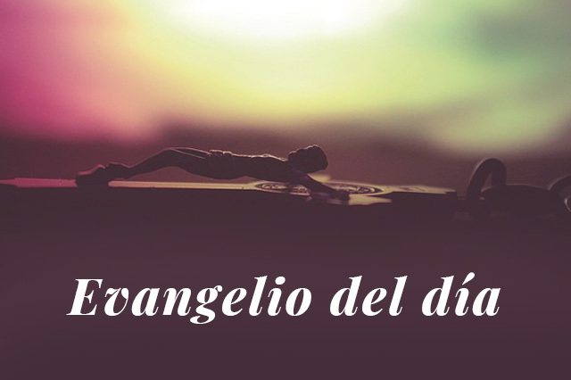 Evangelio del día: Lectura del santo evangelio según san Lucas 17, 7-10