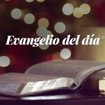 Evangelio del día: Evangelio según San Mateo 19,3-12