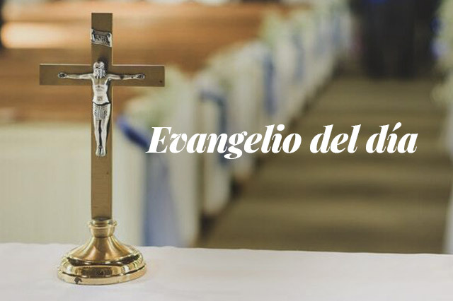 Evangelio del día: Evangelio según San Mateo 9,14-17